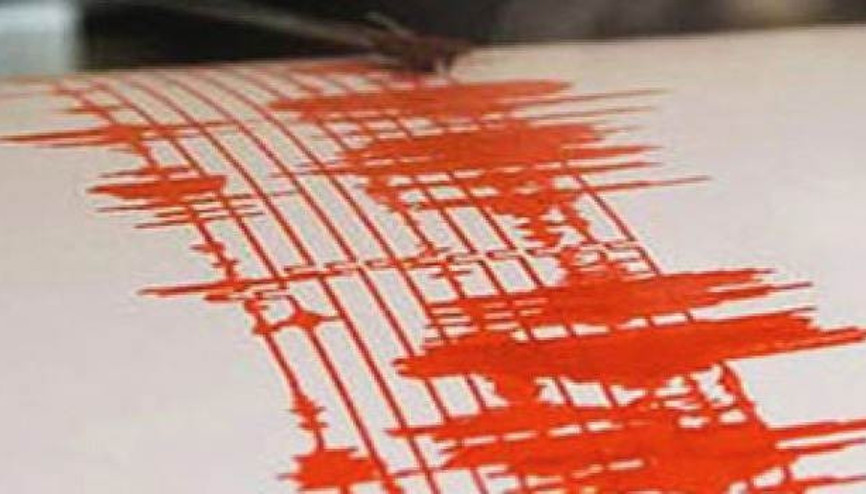 Vanda sabaha karşı art arda 2 deprem
