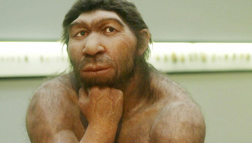 Alerjilerin sorumlusu Neanderthaller