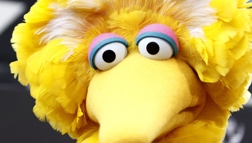 Minik Kuşun bir çocukta bıraktığı yürek burkan etki