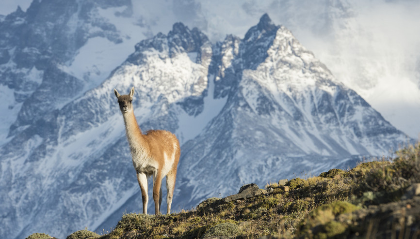 Bir rüyaya yolculuk: Patagonya