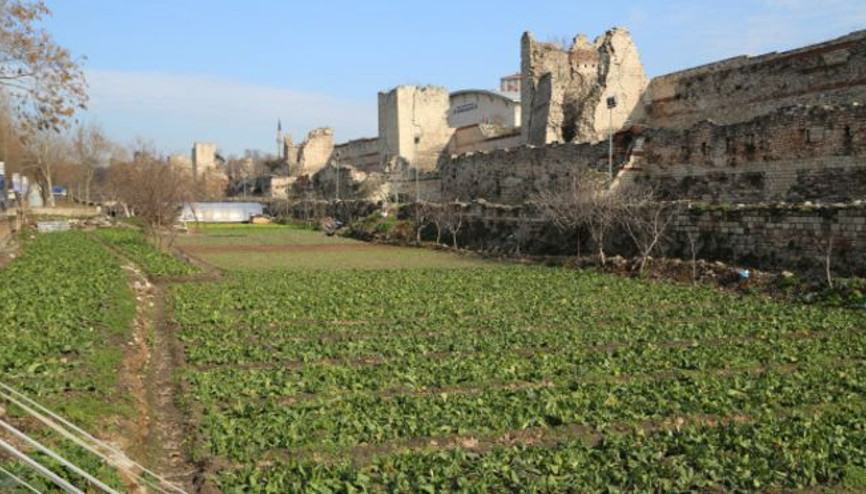 Yedikule Bostanları: Bostancılar tedirgin, uzmanlar uyarıyor
