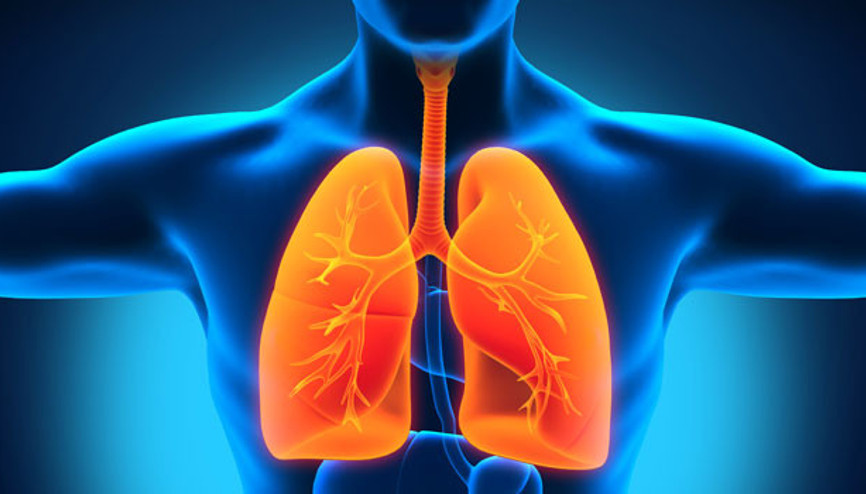 Düz paket sigara tüketimini ve cazibesini azaltıyor