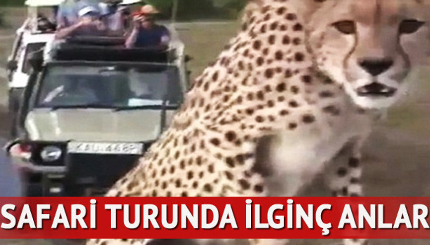 Turistleri şoke etti