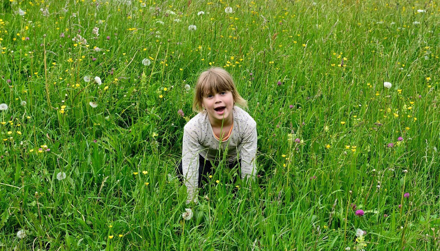İnsanlar neden çimen yiyerek beslenemiyor