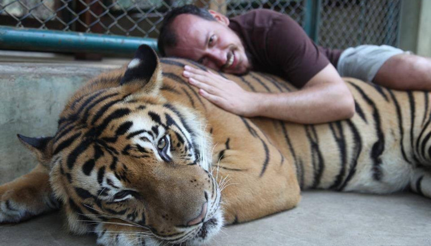 Altı ay işinde, altı ay seyahatte