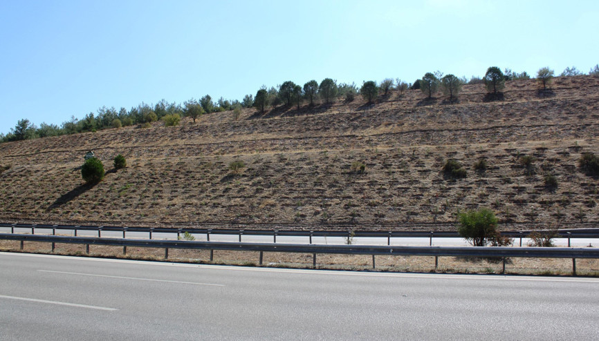 İzmir-Çeşme Otoyolu yeşillenecek