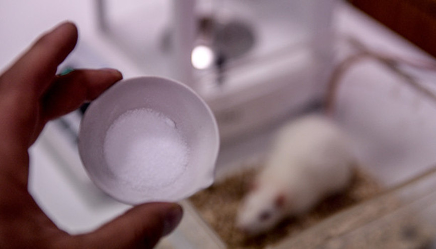 Zihin gelişiminde bor mucizesi Zihin gelişiminde bor mucizesi