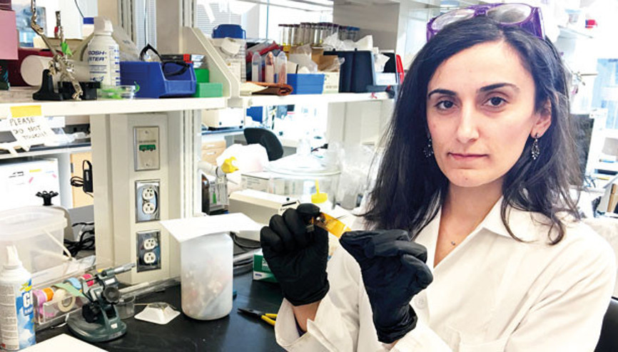 Yrd. Doç. Canan Dağdeviren’e artık bilimin Mevlana’sı diyorlar