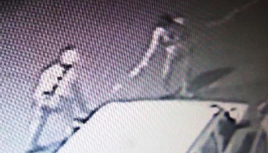 6 aylık köpeğe görülmemiş işkence