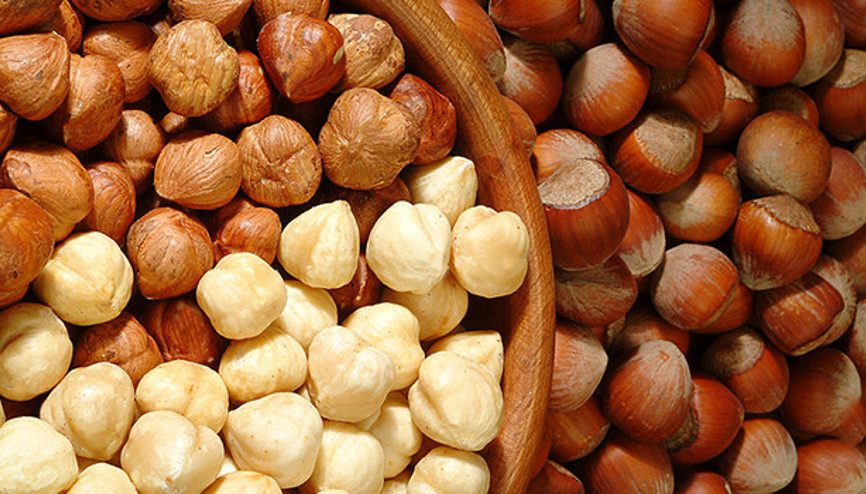 103 bin fındık üreticisi ürününü sigortalattı