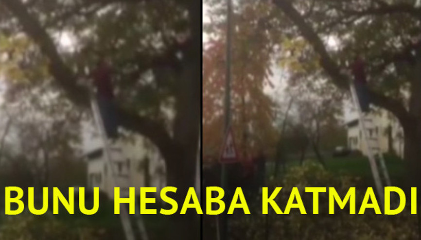 Buna bindiği dalı kesmek denir