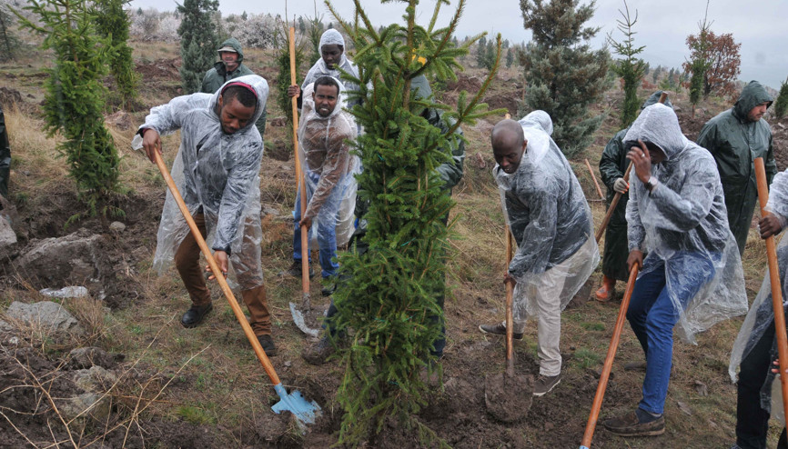 Kent Ormanı’na Ruanda katkısı