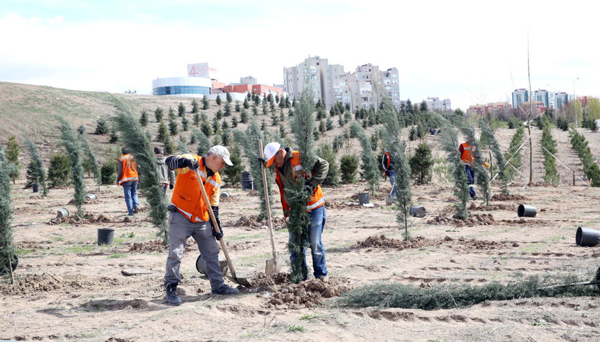 Merasim şehitleri için hatıra ormanı