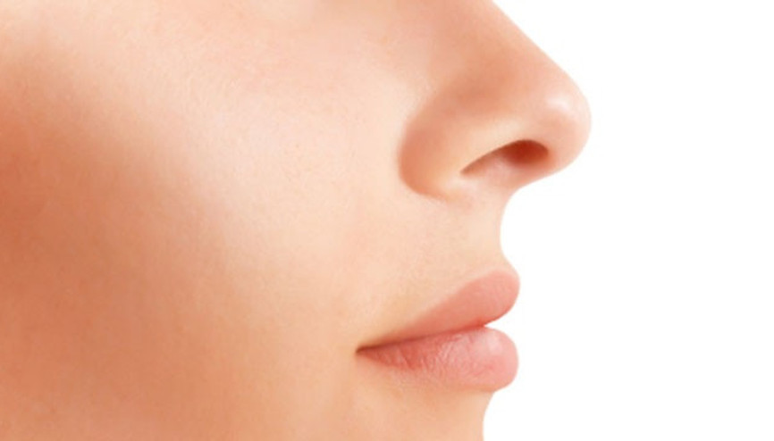 Burnunuz karakterinizi ortaya çıkartıyor Burnunuz karakterinizi ortaya çıkartıyor