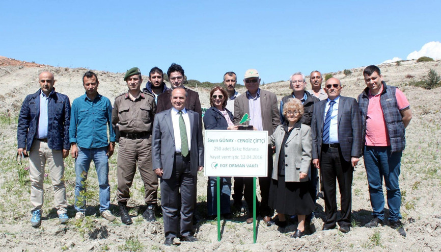 Çeşme’ye 3 bin sakız fidanı dikilecek Çeşme’ye 3 bin sakız fidanı dikilecek