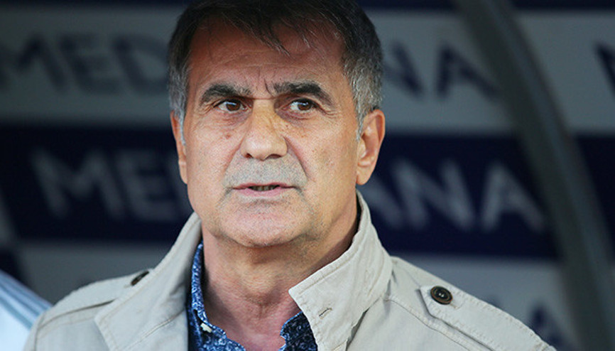 Şenol Güneş: Polis polisliğini yapsın