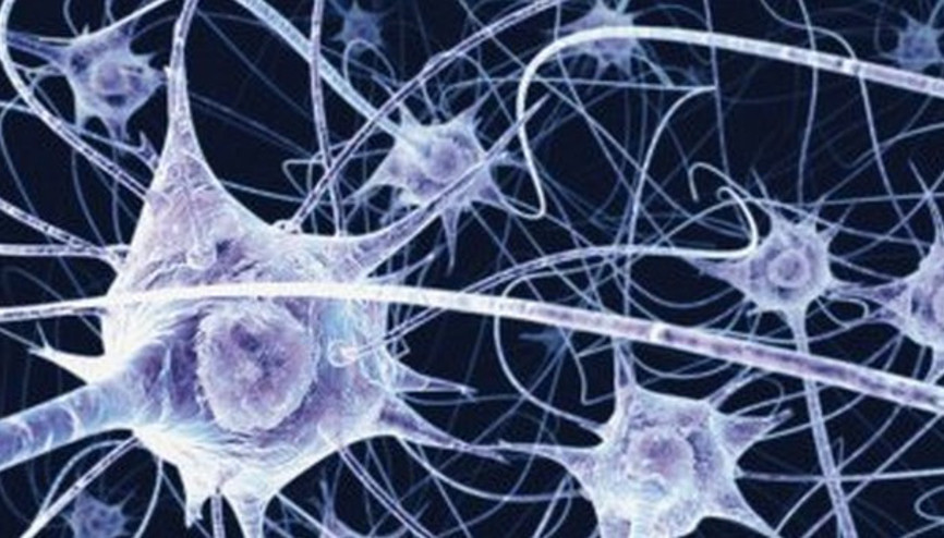 Bakteriler nasıl antibiyotiğe dirençli hale gelebiliyorlar Bakteriler nasıl antibiyotiğe dirençli hale gelebiliyorlar