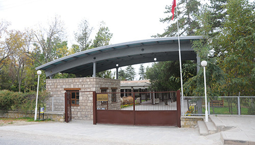 Gordion turisti ayağını kesti