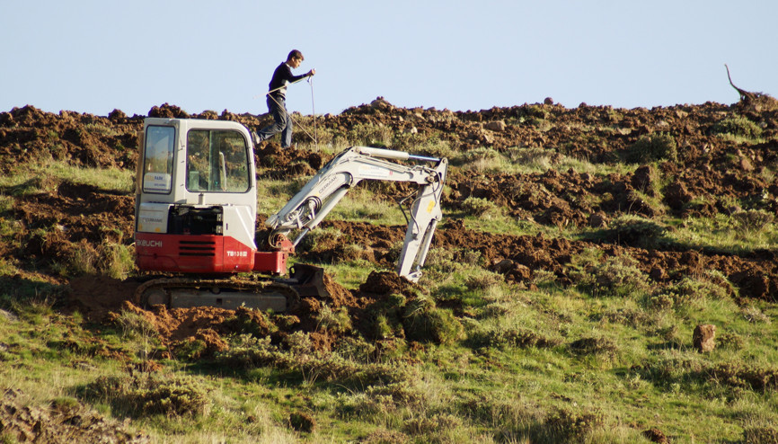Çay Vadisi’ne 130 bin fidan