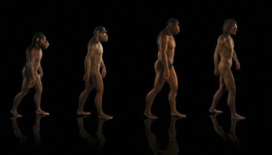 Neandertaller hala yaşıyor olsa ne olurdu Neandertaller hala yaşıyor olsa ne olurdu