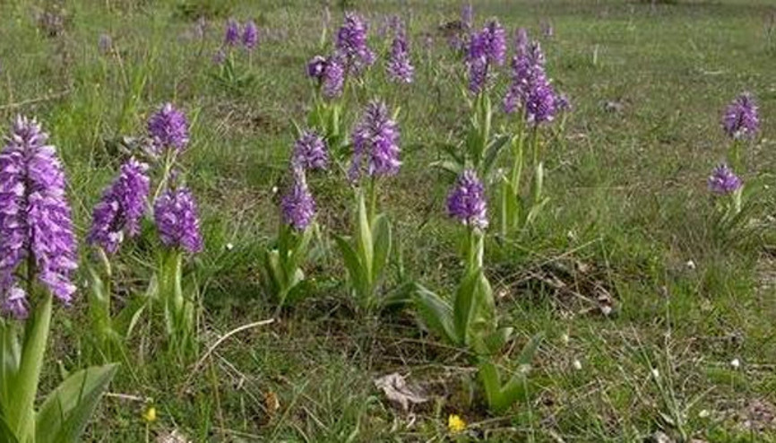 İzinsiz topladı, 41 bin lira ceza yedi