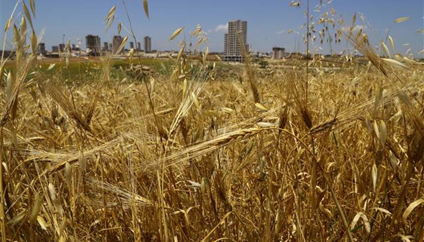 Alman devden inanılmaz teklif