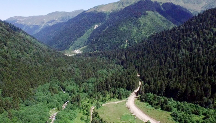 Yeşil Yol güzergahında ağaçlar kesildi
