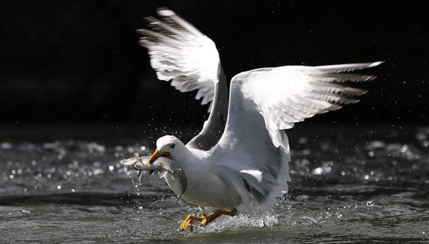 Zorlu yolculuk onlara yaradı