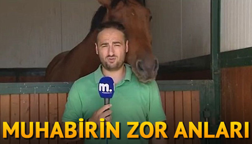 Muhabirin zor anları