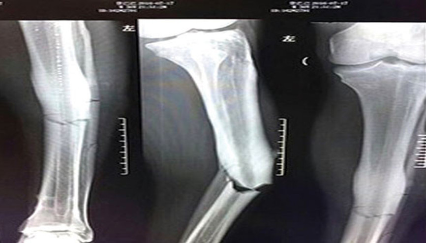 Demba Ba: Futbolu bırakmayacağım