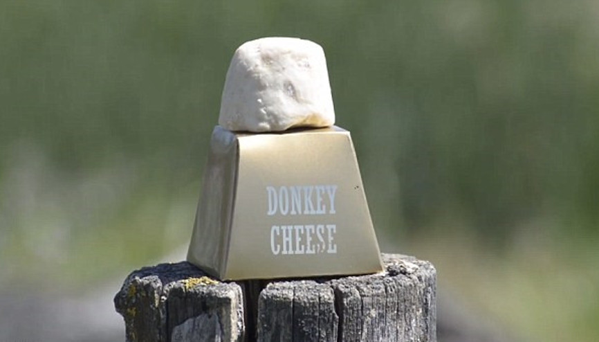 Dünyanın en pahalı peyniri eşek sütünden
