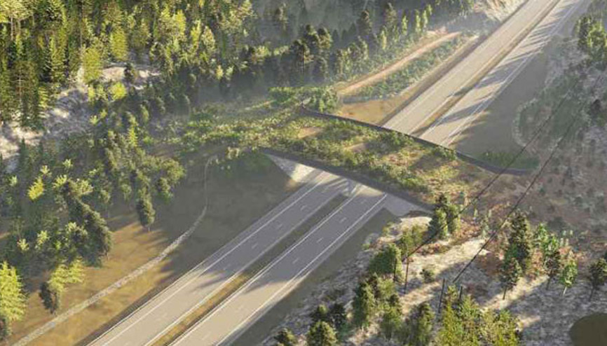 İsveç’te yaban hayvanları için ‘eko viyadük’