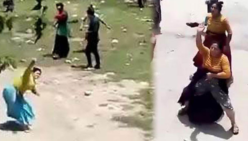 Conoların çocuk kavgasında ilginç görüntüler