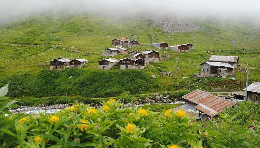 Sana güzel diyorlar dere içi Elevit...