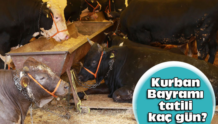 Kurban Bayramı ne zaman (Kurban bayramı tatili kaç gün oldu) Kurban Bayramı ne zaman (Kurban bayramı tatili kaç gün oldu)
