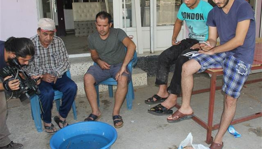 Adanada pirana paniği
