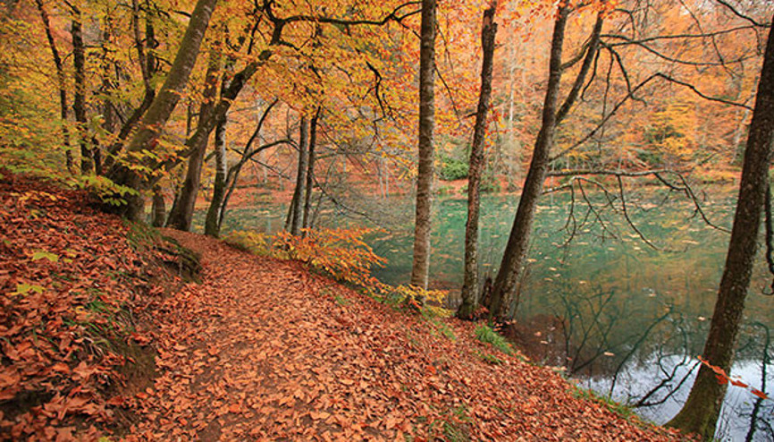 Sonbaharda fotoğraf  çekilecek en güzel 10 yer