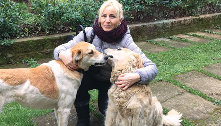 Köpek beslerken serseri kurşun