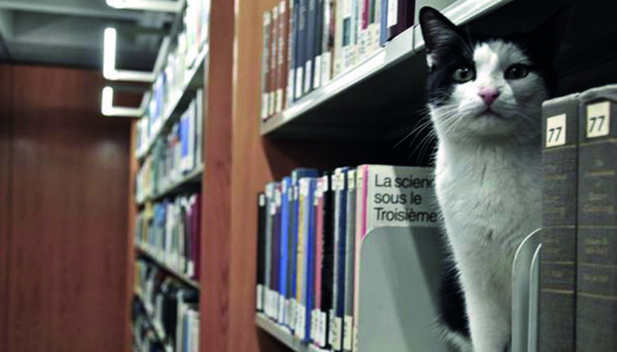 Kampüsteki hayvanlar sizin bir parçanız olacak