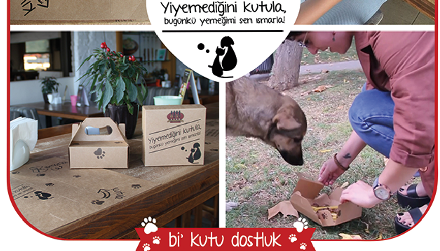 Hayvan dostlarımız için anlamlı proje: Bi’ Kutu Dostluk