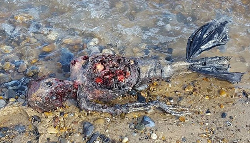 Sosyal medyayı sallayan denizkızı görüntüleri
