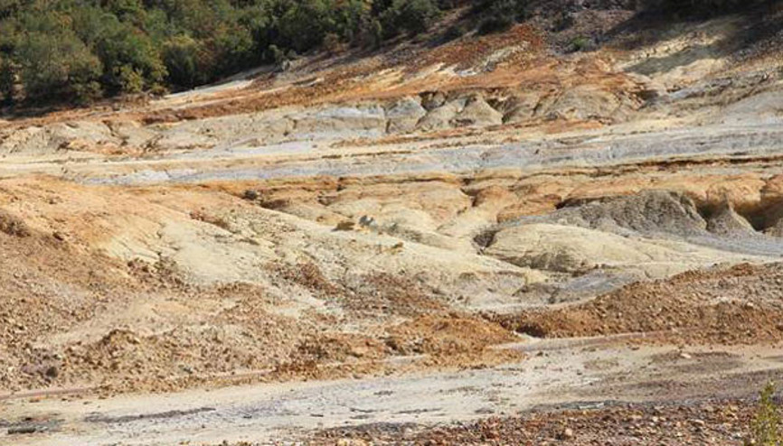Balyalı Başkan’dan Fransızlar’a dava hazırlığı Balyalı Başkan’dan Fransızlar’a dava hazırlığı
