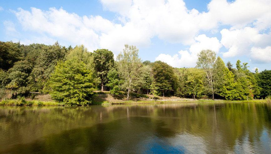 Aydos ormanı nerede, hangi ilde İşte Aydos ormanı konumu