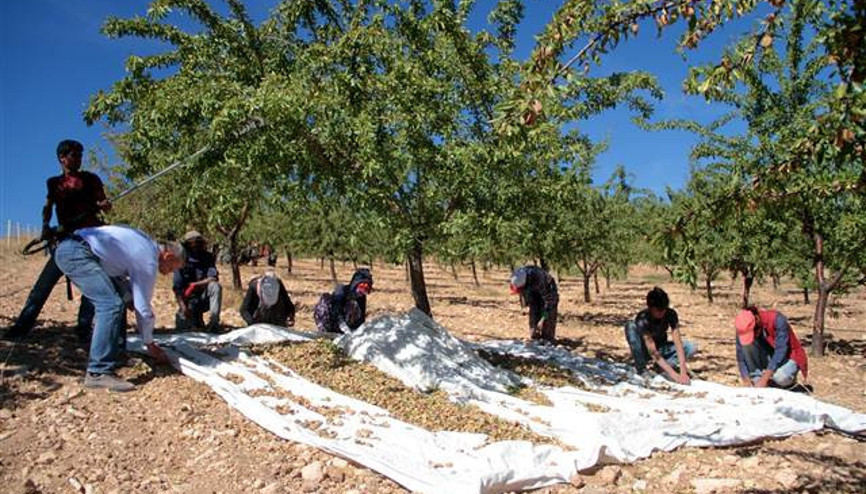 Kimse bunu beklemiyordu Kimse bunu beklemiyordu