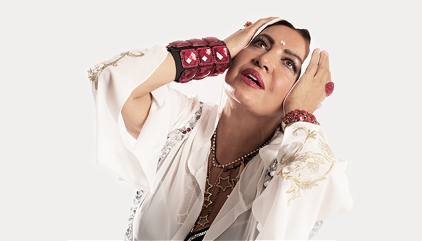 Seyyal Taner: Müziğin de organiği daha değerli