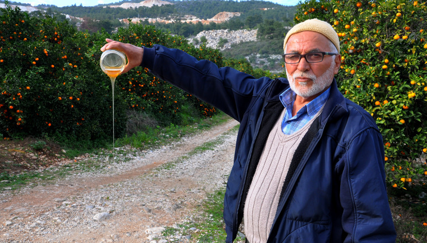 Finike’de arı katliamı