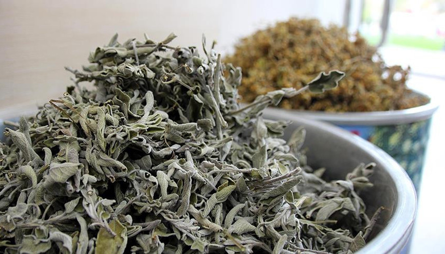 Ihlamurun yerini aldı