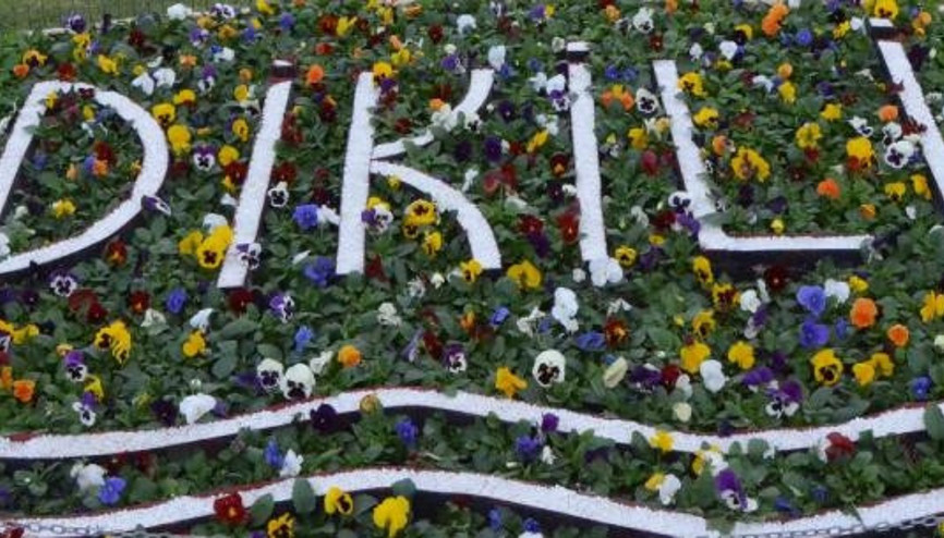 Dikili kışın da rengarenk olacak
