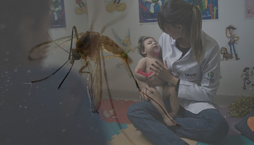 Zika virüsü için küresel acil durum kaldırıldı
