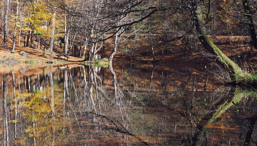 Türkiyede sonbaharda gidilecek en güzel yer: Yedigöller